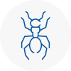 Ant Removals In Maesteg