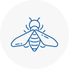 Bee Nest Removal Maesteg