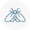 Moth Control Specialists In Maesteg