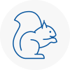 Maesteg Rodent Removals